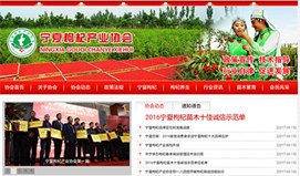 寧夏枸杞產(chǎn)業(yè)協(xié)會(huì) 寧夏枸杞產(chǎn)業(yè)協(xié)會(huì)